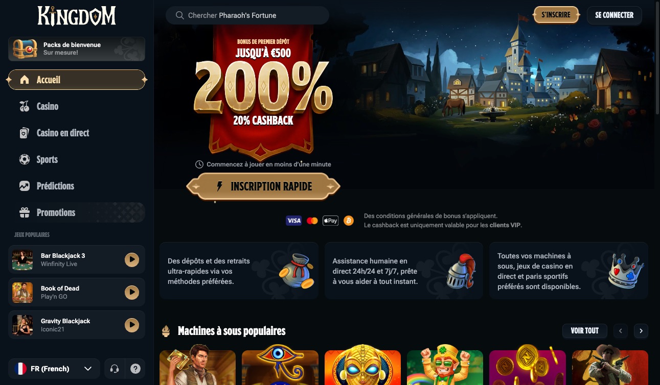 Aperçu de la plateforme Kingdom Casino