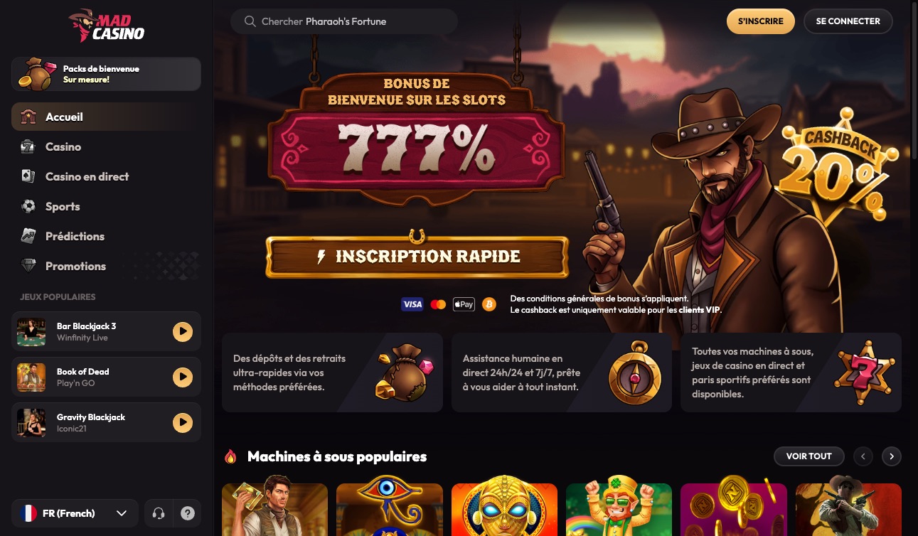 Aperçu de la plateforme MadCasino