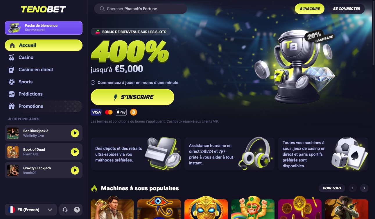 Aperçu de la plateforme Tenobet